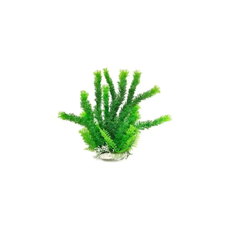 Cabomba-Like Green Aquarium Plant, 9"