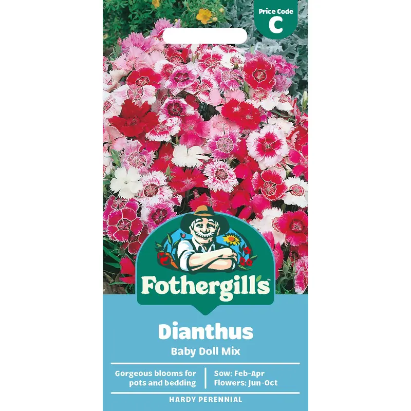 Fothergills Dianthus Baby Doll Mix Seeds