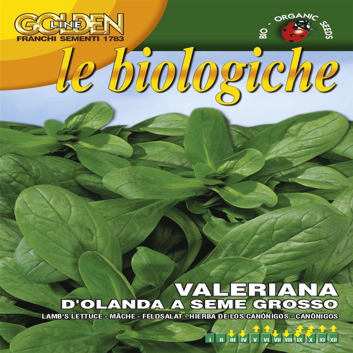 Franchi Organic BIOB140/3 Corn Salad D'Olanda Seeds