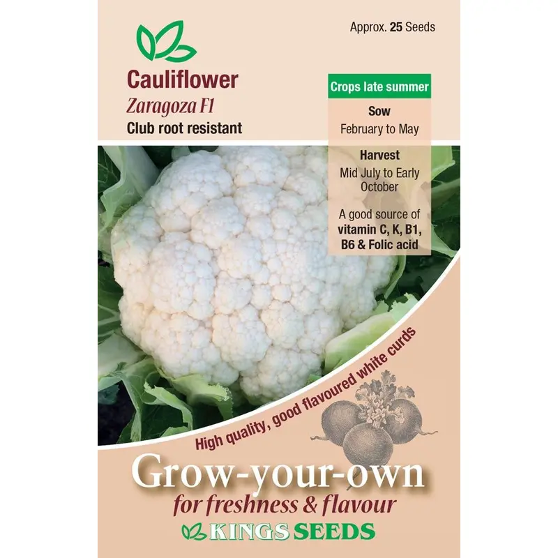 Kings Seeds Cauliflower Zaragoza F1 Seeds