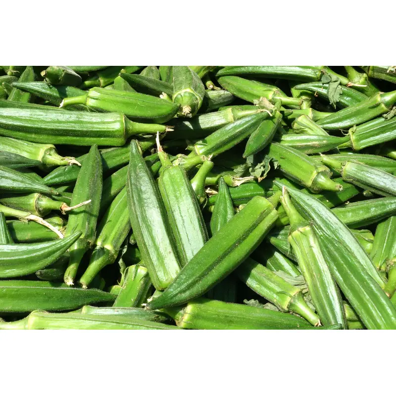 Kings Seeds Okra Clemsons Spineless 50 Seeds