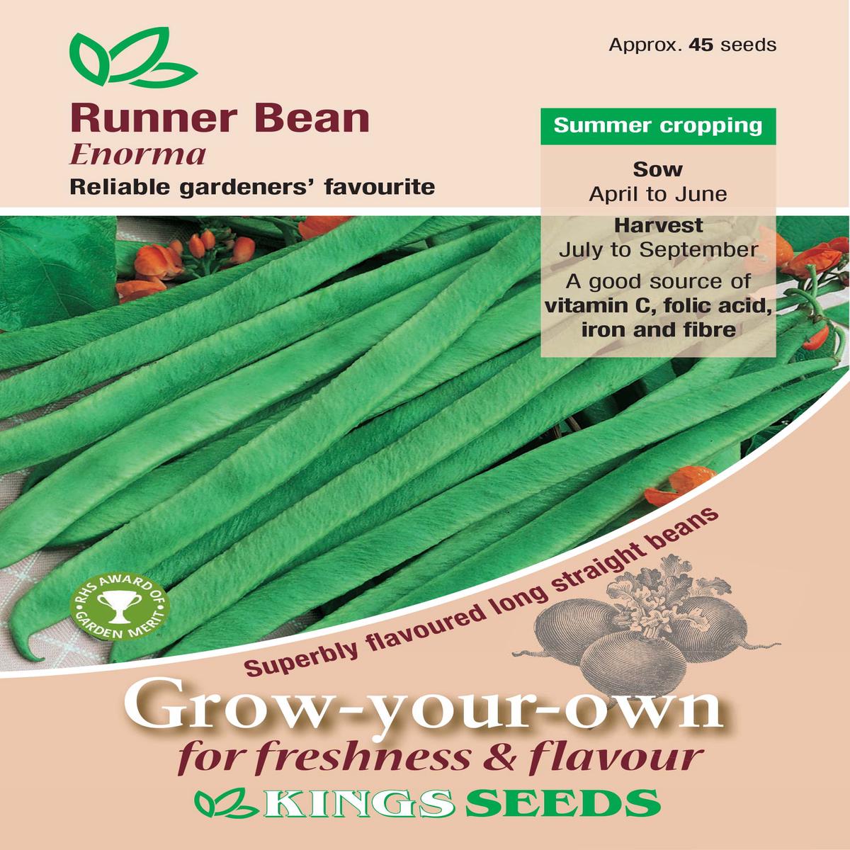 Kings Seeds Runner Bean Enorma 45 Seeds