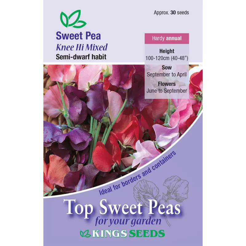 Kings Seeds Sweet Pea Knee High Mix 30 Seeds - Reduced due to short life