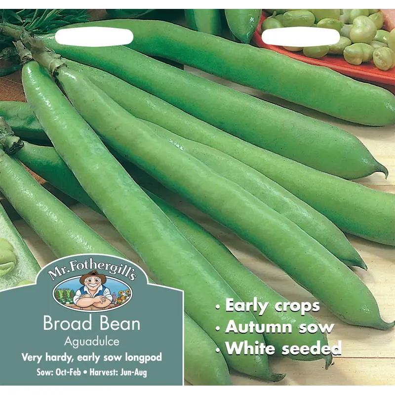 Mr Fothergills Broad Bean Aguadulce 50 Seeds