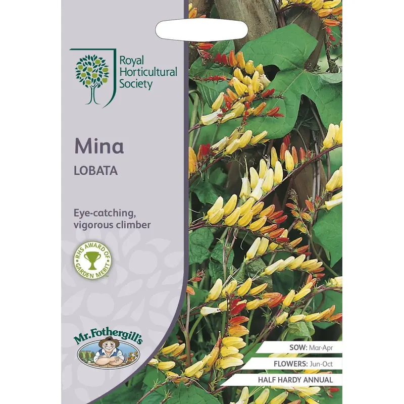 Mr Fothergills RHS Mina Lobata 30 Seeds