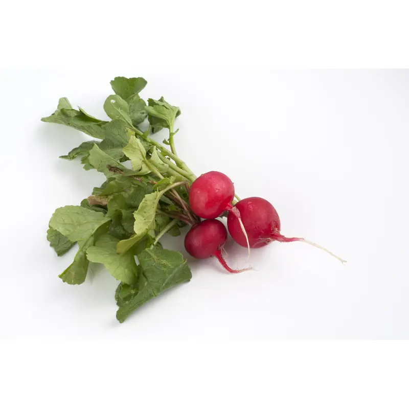 Radish Giant of Sicily Gioia Seeds