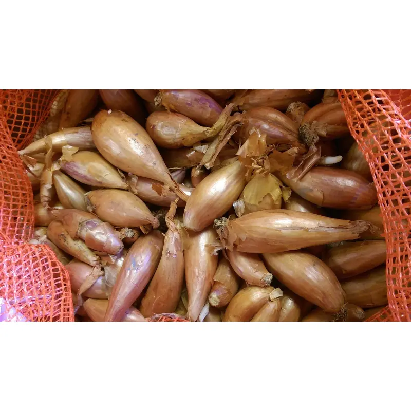 Shallot Sets Red Gourmet