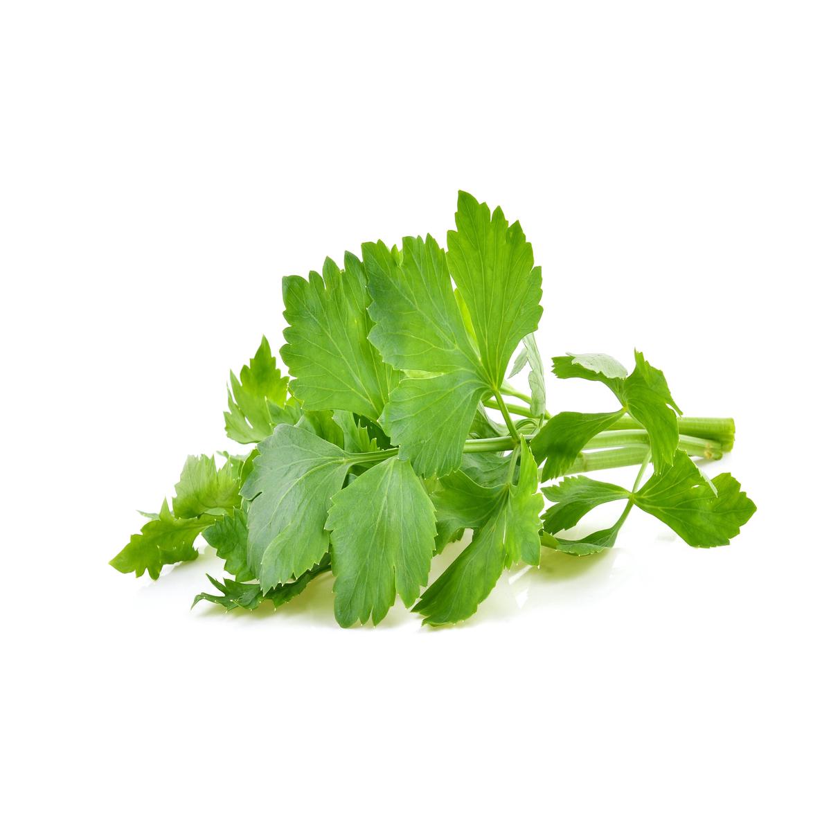 Suffolk Herbs Parcel 300 Seeds