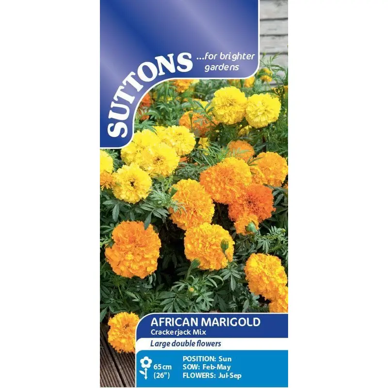 Sutton Seeds - Marigold African Seeds - Crackerjack Mix