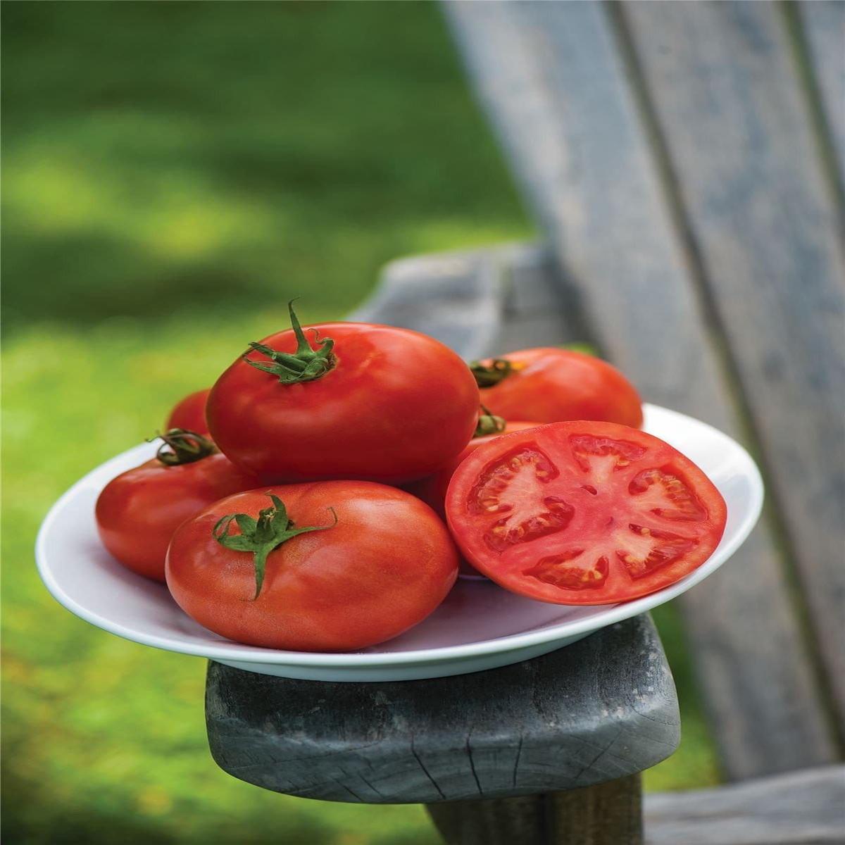 Tomato Early Pick Seeds