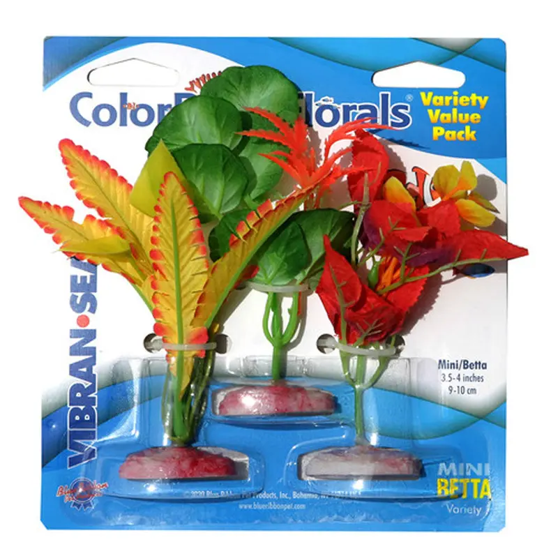 Blue Ribbon, Vibran Sea Clear Burst Floral Mini Variety Pack