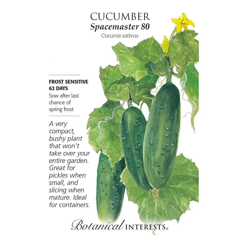 Cucumber, Spacemaster Botanical Interests Seeds