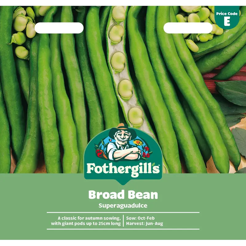 Fothergills Broad Bean Superaguadulce Seeds