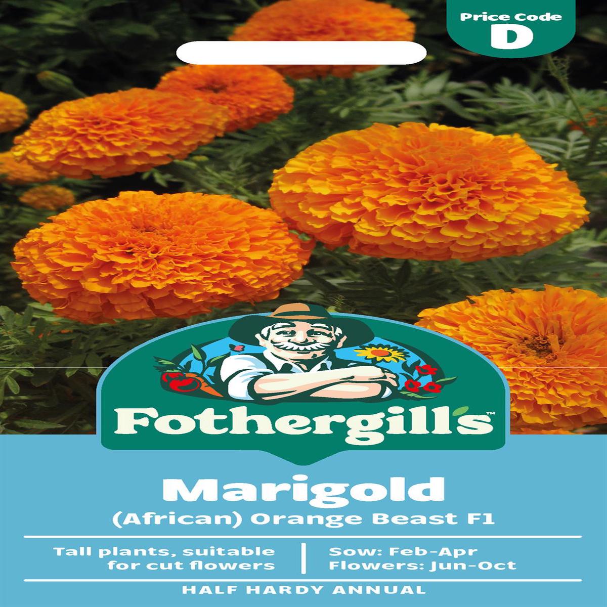 Fothergills Marigold Orange Beast F1 Seeds