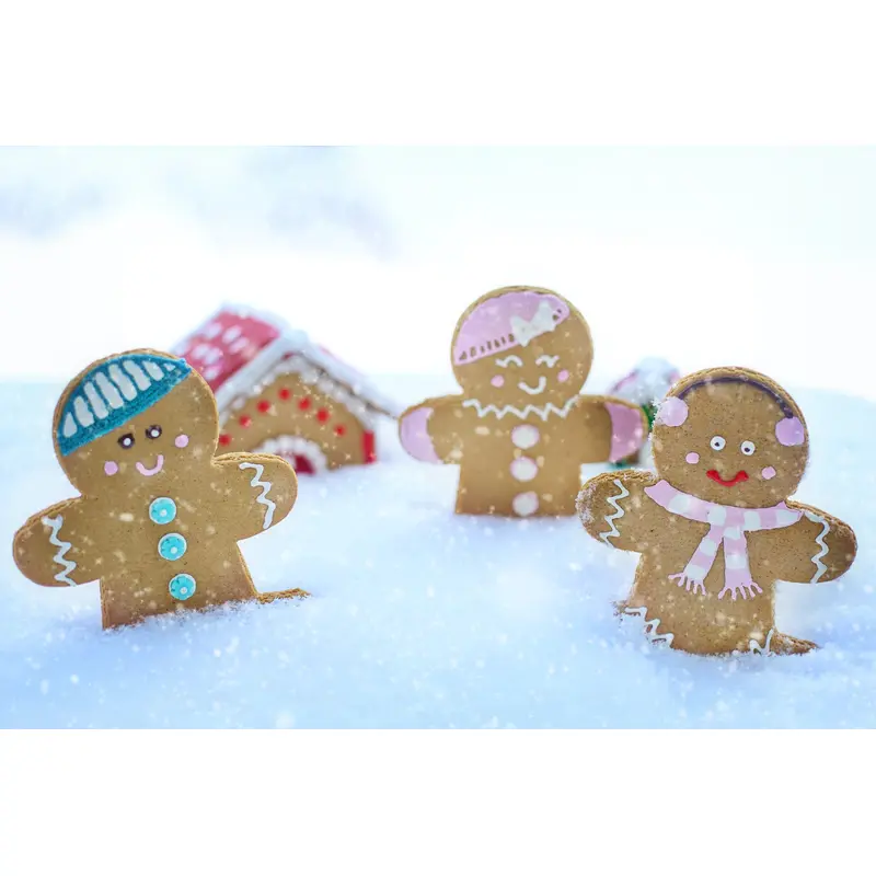 Gingerbread Man Scavenger Hunt for Kids! (St. John 12 PM)