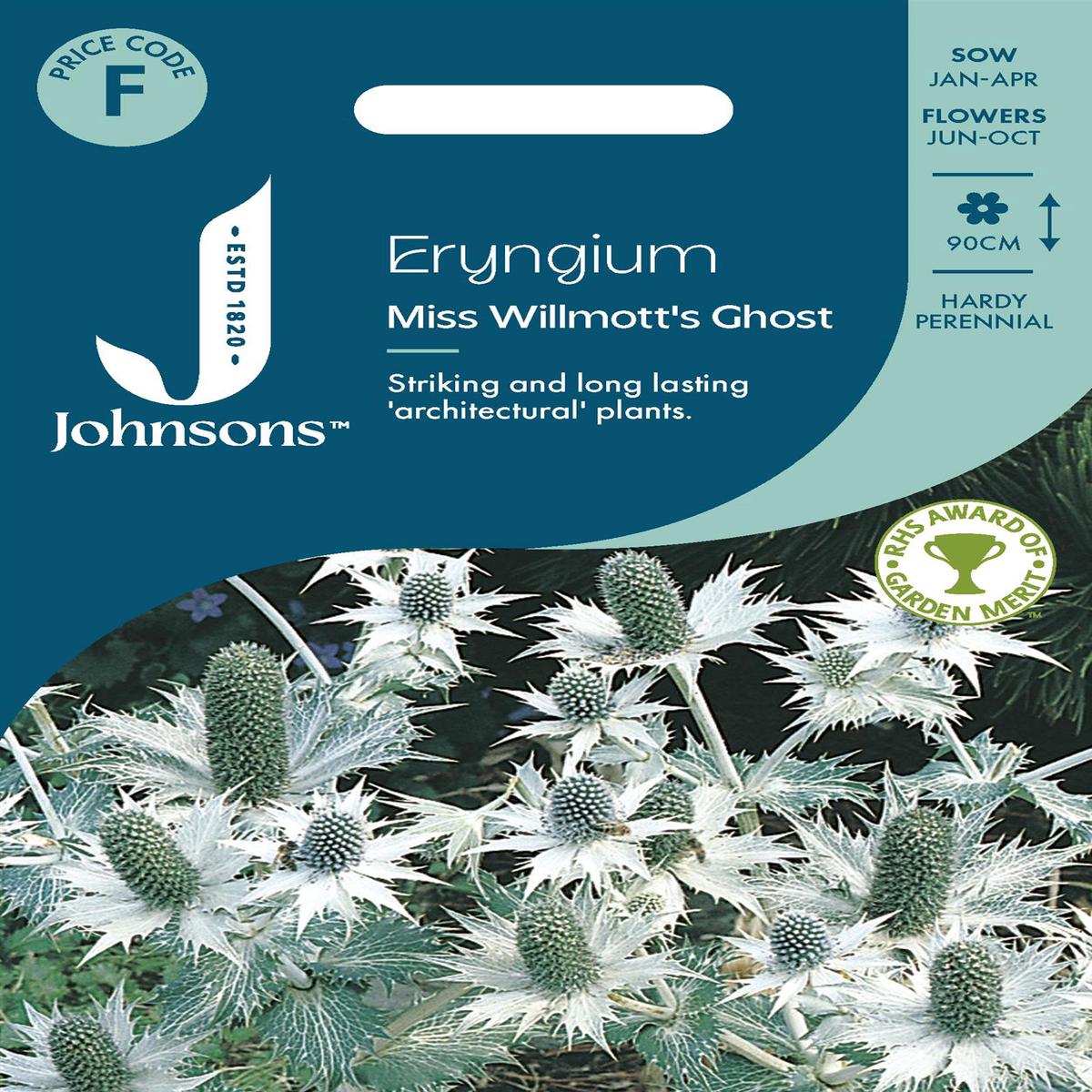 Johnsons - Eryngium Miss Willmotts Ghost - 30 Seeds