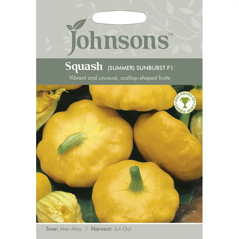 Johnsons Squash (Summer) Sunburst F1 10 Seeds