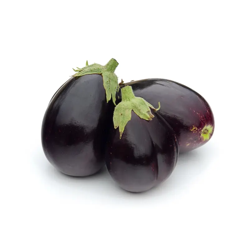 Kings Seeds Aubergine Jackpot 10 Seeds