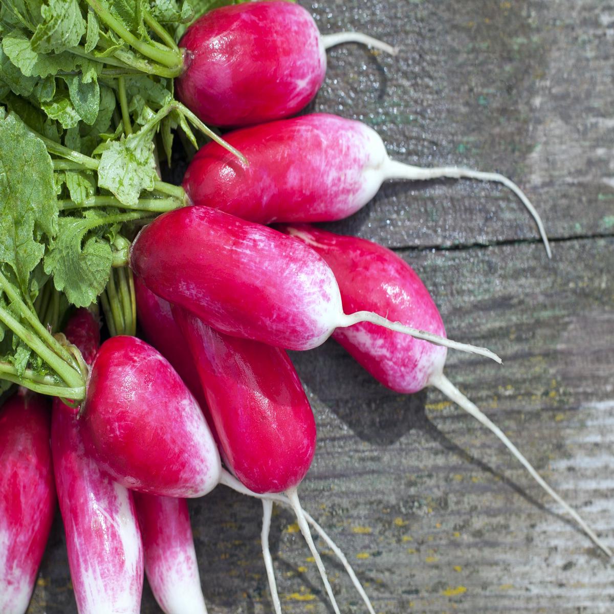 Kings Seeds Radish French Breakfast 1200 Seeds