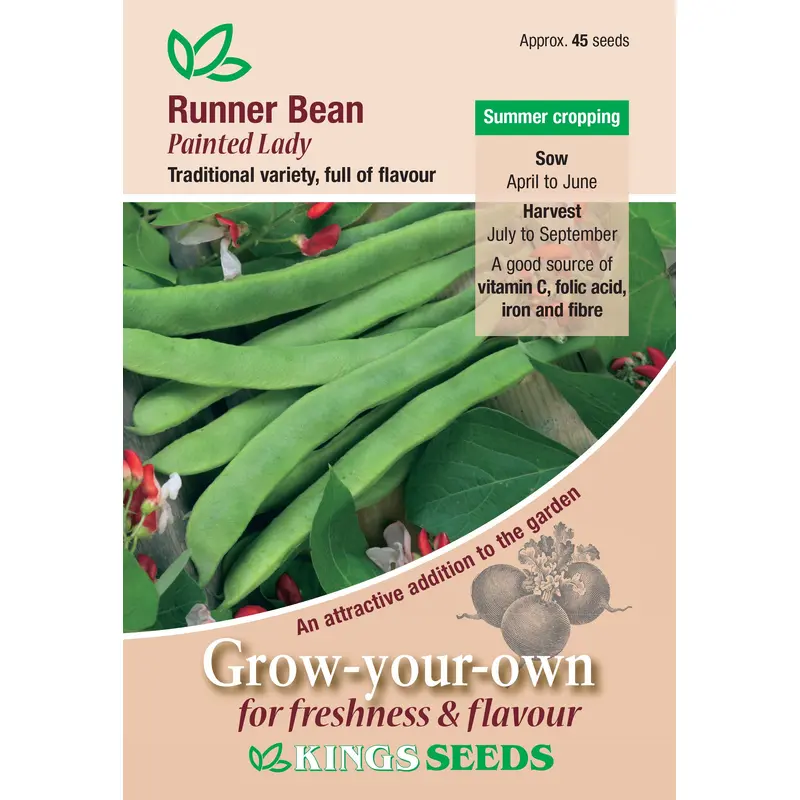 Kings Seeds Runner Bean Painted Lady 45 Seeds