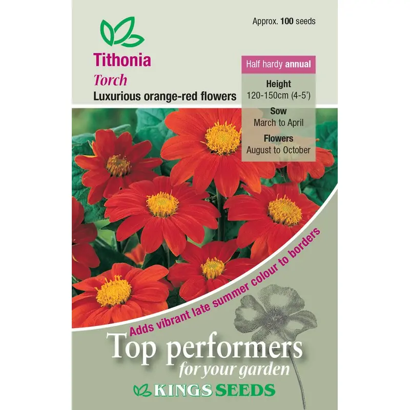 Kings Seeds Tithonia Torch Seeds