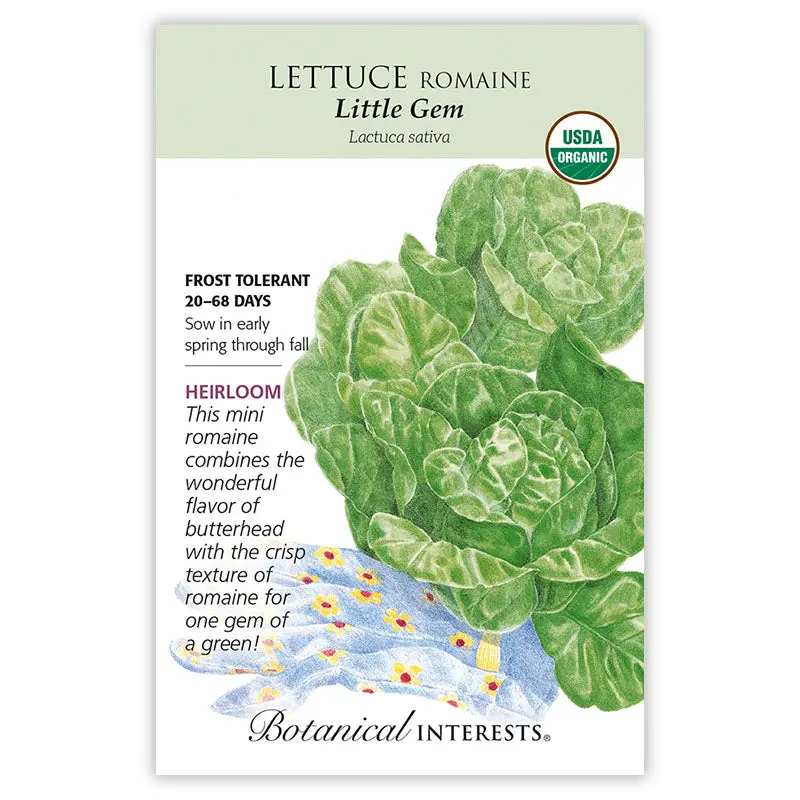 Lettuce, Little Gem Romaine Seeds (Heirloom)