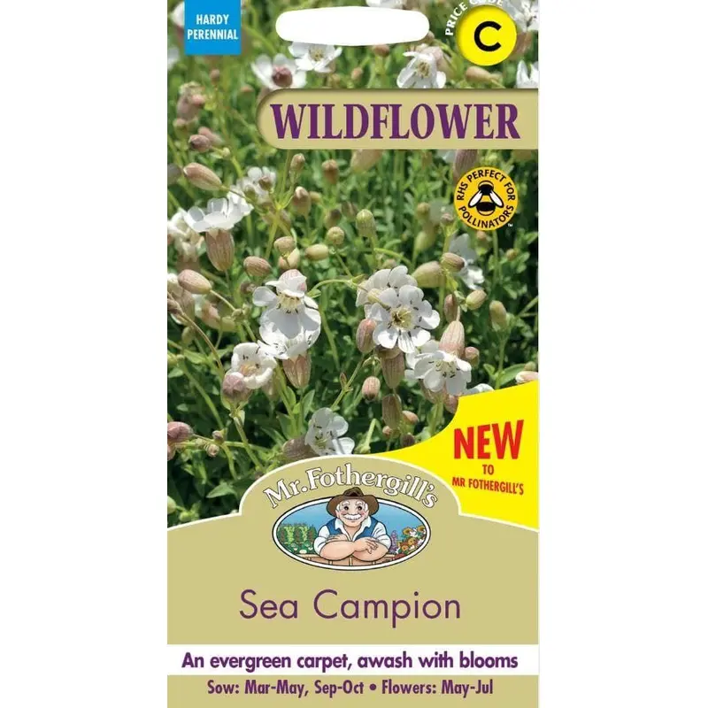 Mr Fothergills - Wild Flower - Sea Campion - 250 Seeds