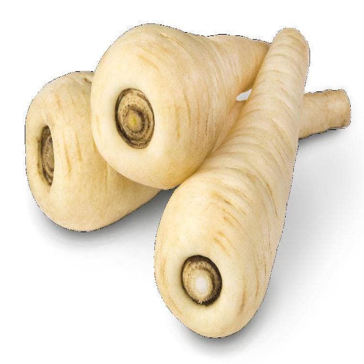 Parsnip Albion Seeds