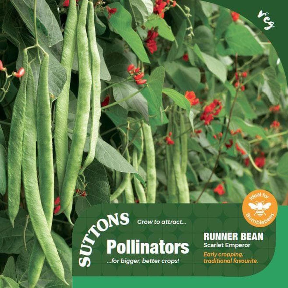 Sutton Seeds - Bean (Runner) Seeds - Scarlet Emperor