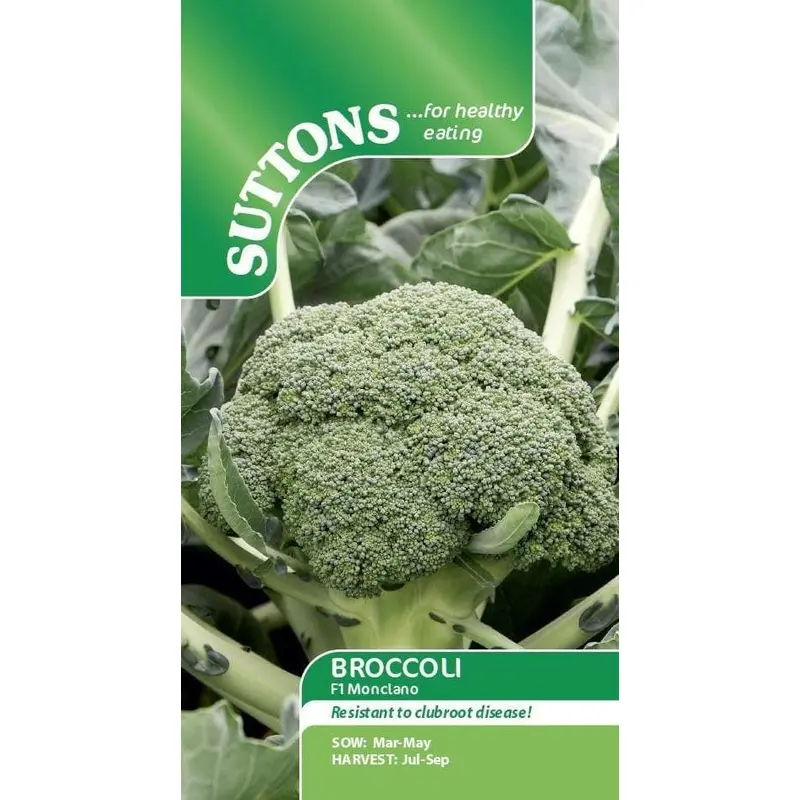 Sutton Seeds - Broccoli Seeds - F1 Monclano