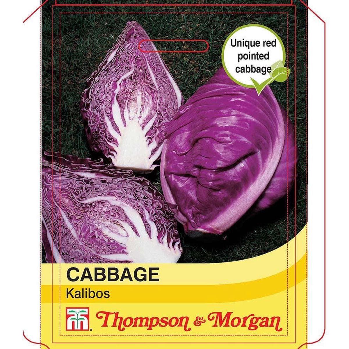 Thompson & Morgan Cabbage Kalibos (Filderkraut) F1 100 Seed