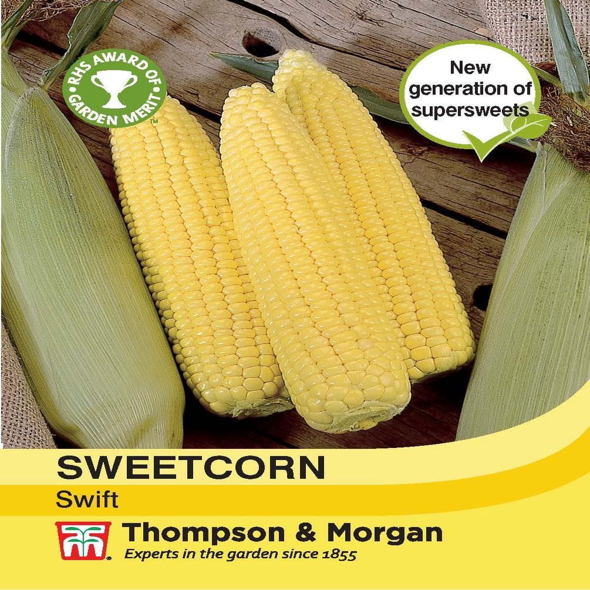 Thompson & Morgan Sweetcorn Swift 30 Seed