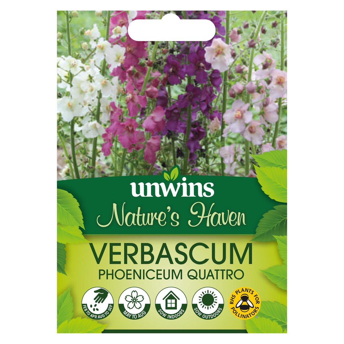 Unwins Flower Verbascum phoeniceum Quattro - 75 Seeds