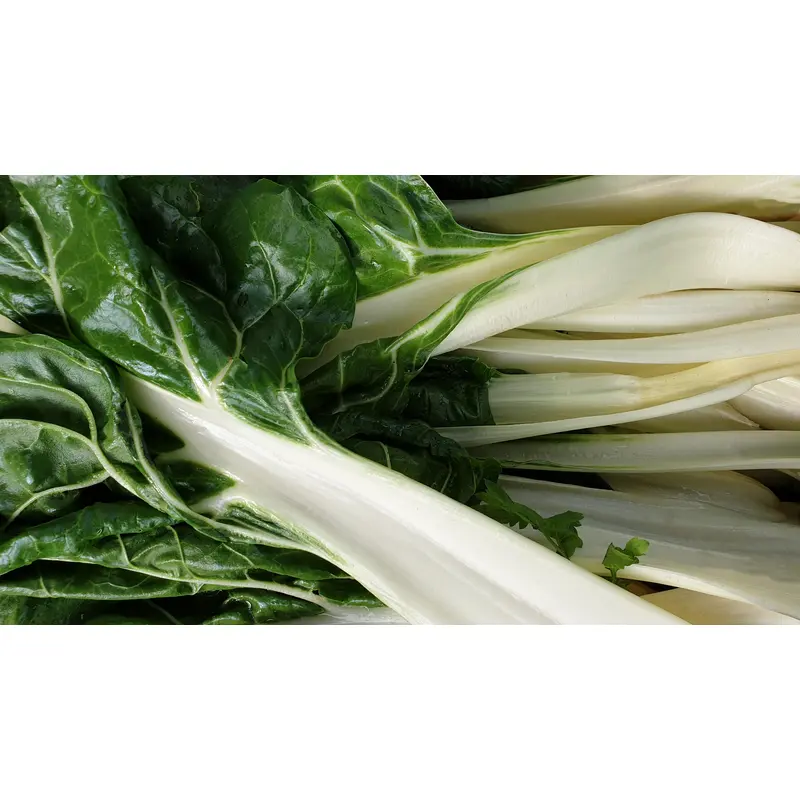 Beet Leaf Swiss Chard Fordhook Giant Seeds