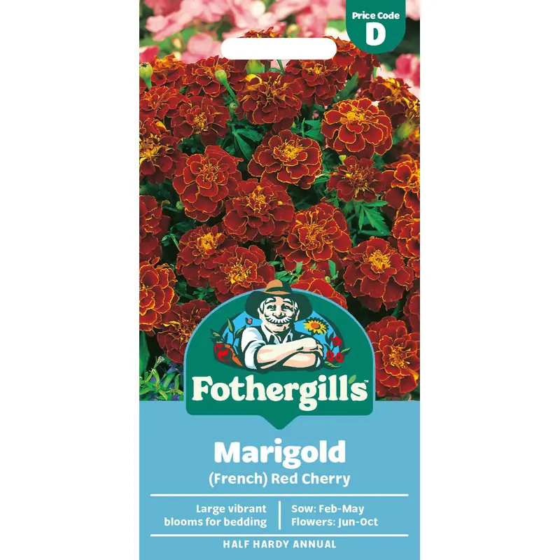 Fothergills French Marigold Red Cherry Seeds