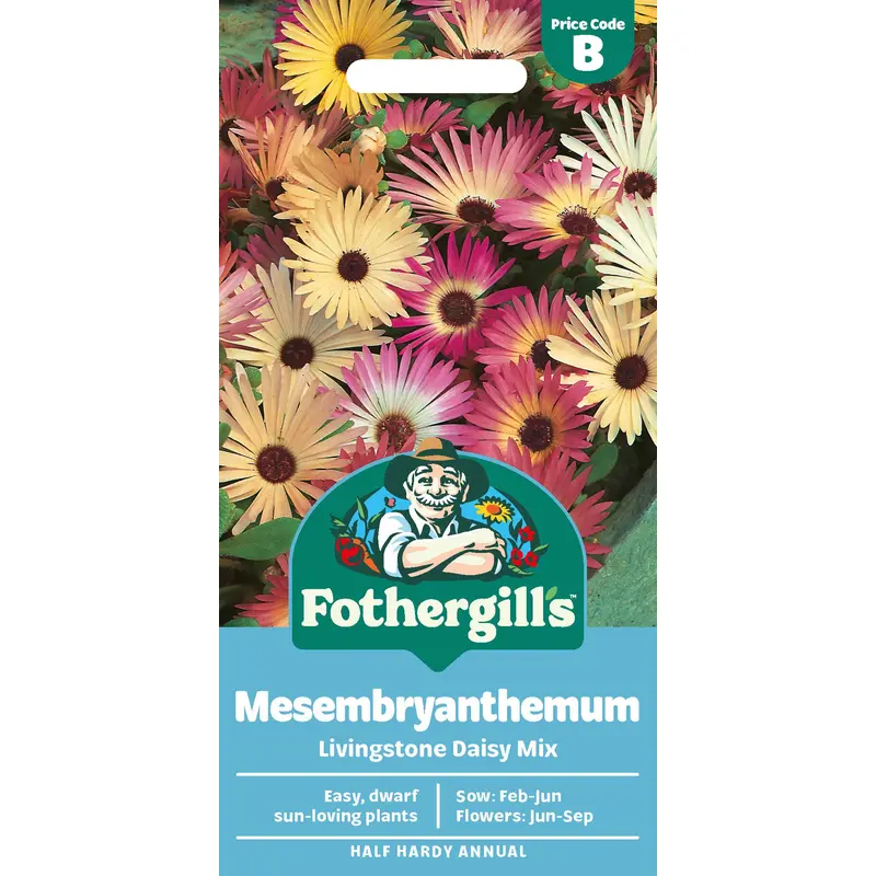 Fothergills Mesembryanthemum Livingstone Daisy Mix Seeds
