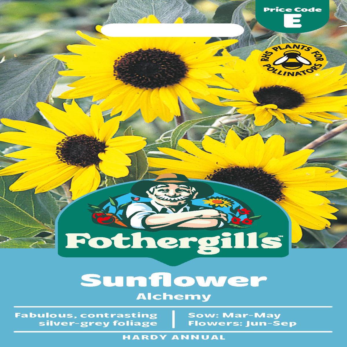 Fothergills Sunflower Alchemy Seeds