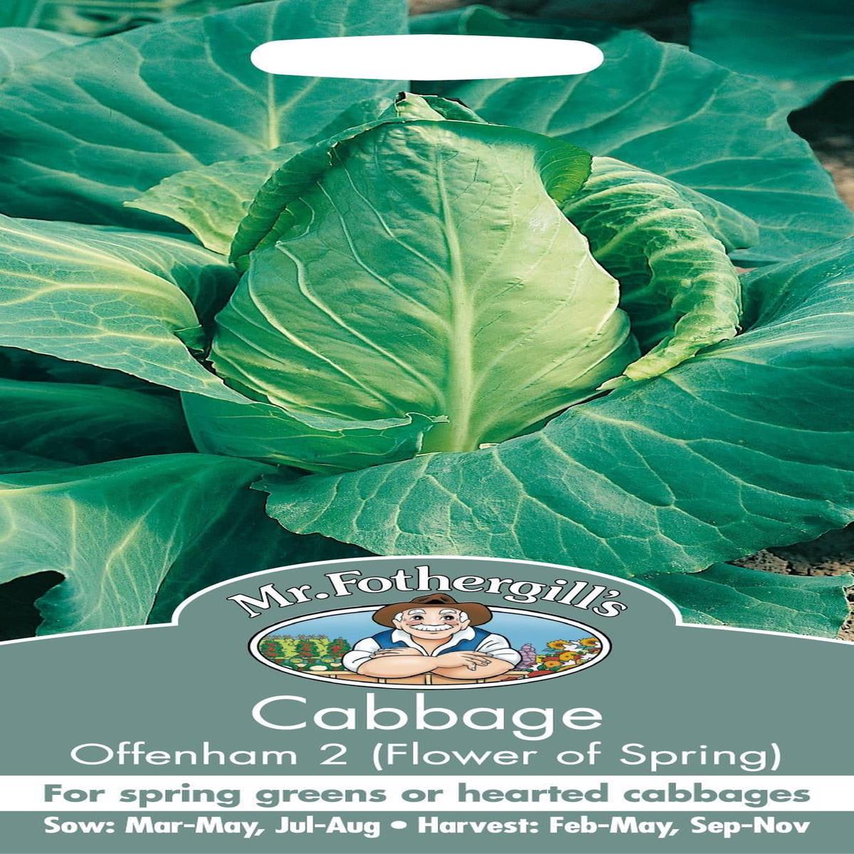 Mr Fothergills Cabbage Offenham 2of Spring 500 Seed