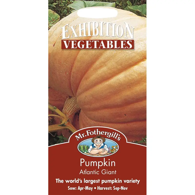 Mr Fothergills Pumpkin Atlantic Giant 10 Seeds