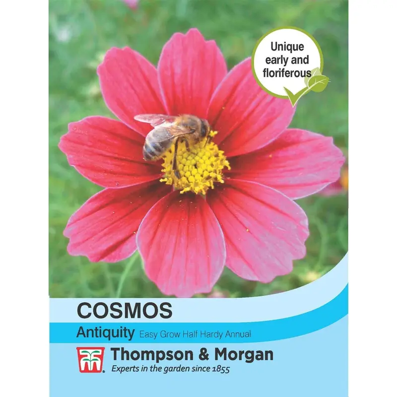 Thompson & Morgan Cosmos Antiquity 30 Seed
