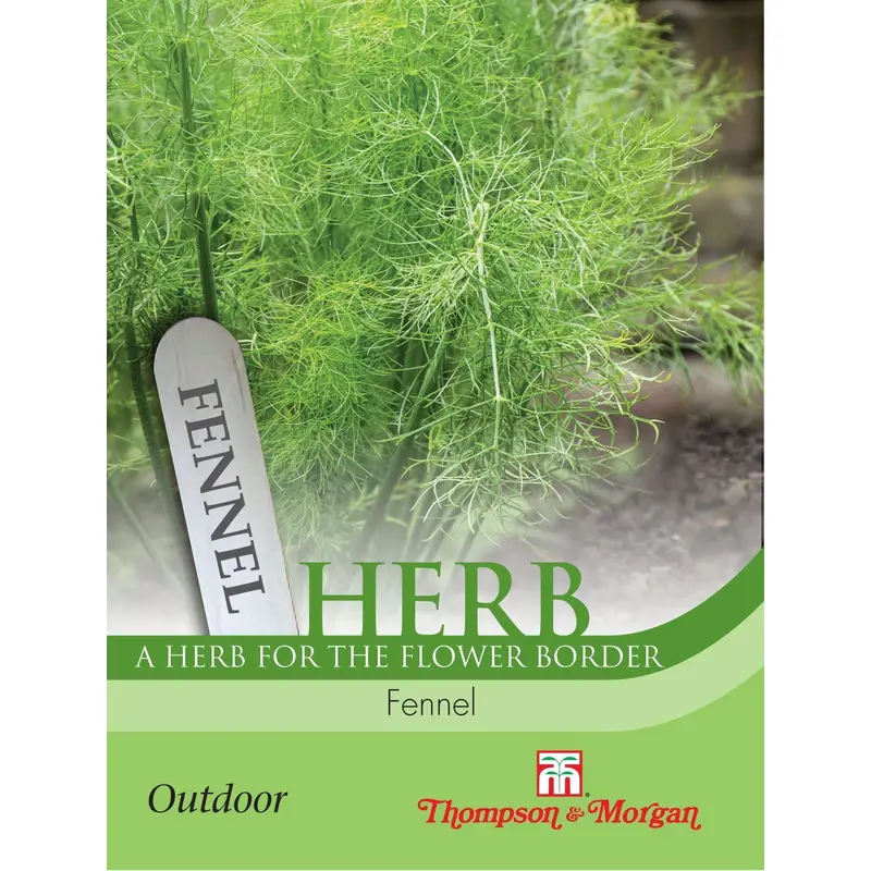 Thompson & Morgan Herb Fennel 250 Seed