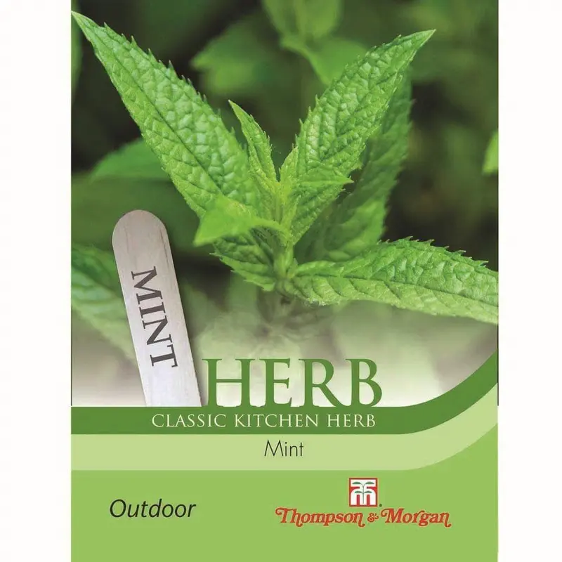 Thompson & Morgan Mint Peppermint 750 Seed