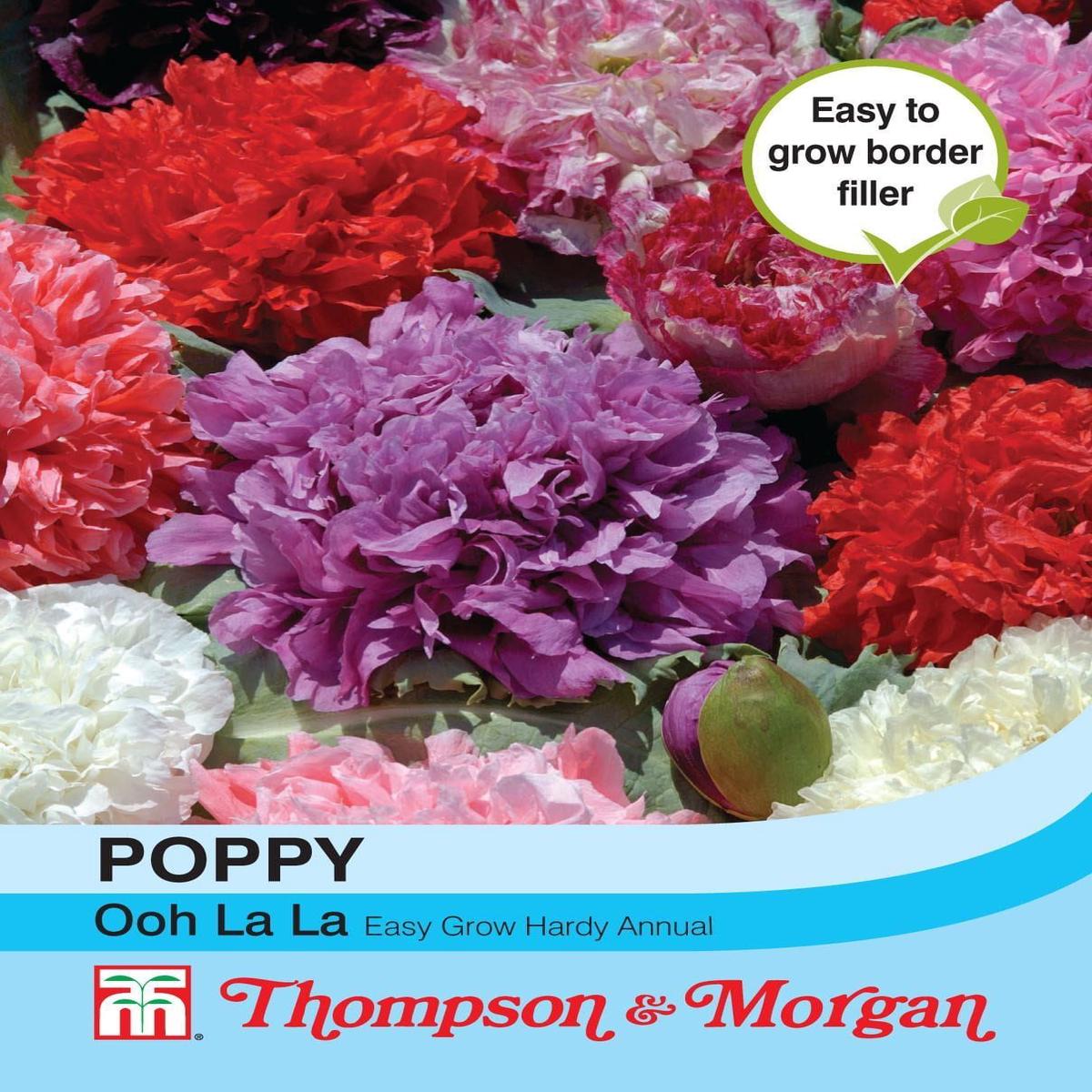Thompson & Morgan Poppy Ooh La La 500 Seed