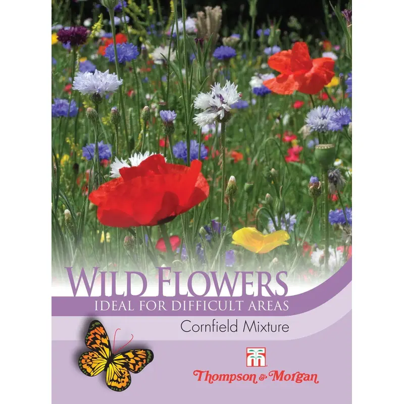 Thompson & Morgan Wild Flower Cornfield Mix Seed