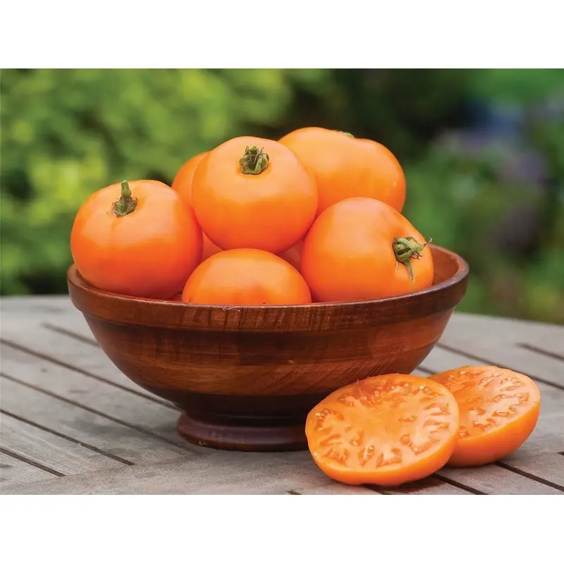 Tomato Orange Wellington F1 Hybrid Seeds