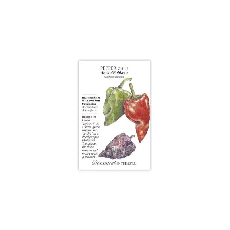 Ancho/Poblano Chile Pepper Botanical Interests Seeds