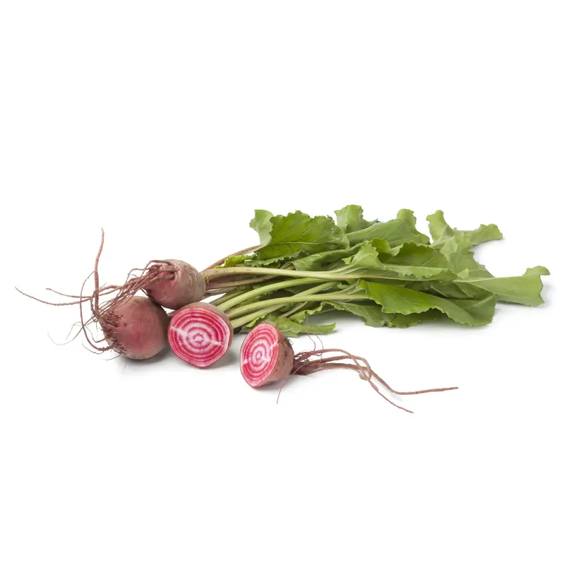 Beetroot Chioggia Barbietola Seeds