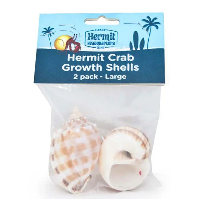 Flaker, Hermit Crab Shell, Large, 2 Pack