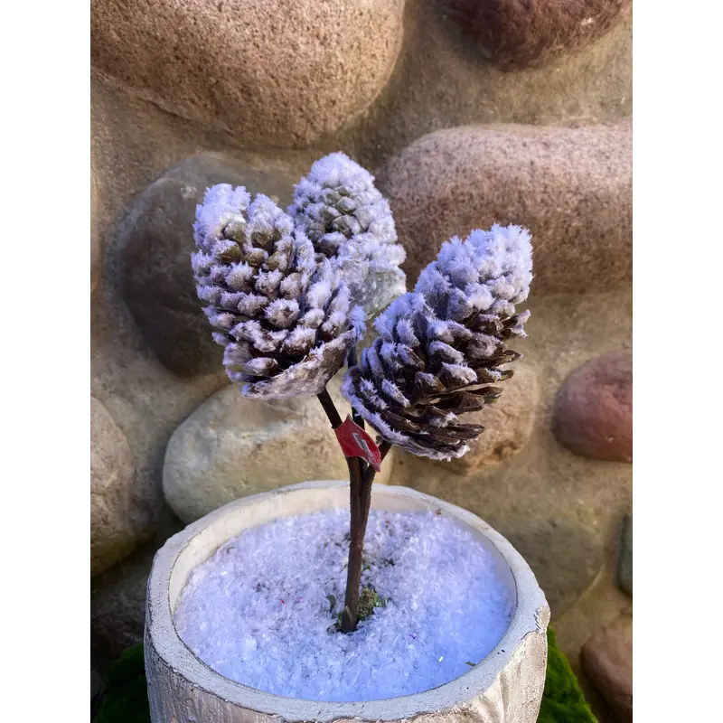 Flocked Pinecones