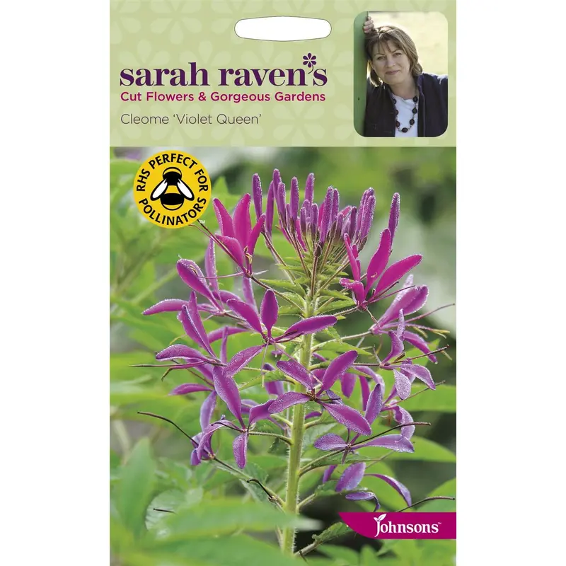 Johnsons Sarah Raven's Cleome Violet Queen 200 Seeds